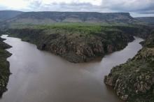 Lluvias generan optimismo entre productores del campo de Aguascalientes