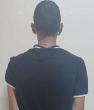 distribuidor 