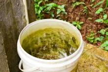 TEMPORADA DE LLUVIAS Y DENGUE 