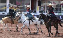 Feria del Caballo