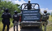 Policías estatales, Ejército, Guardia Nacional y corporaciones municipales localizaron el material oculto entre la maleza