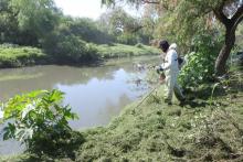 río San Pedro