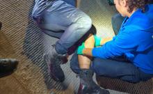 El motociclista resultó lesionado y fue trasladado al IMSS; el automovilista quedó a disposición de las autoridades para determinar responsabilidades