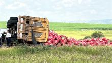 Aguascalientes no amerita rampas de frenado: Transportistas tras accidente con tráiler 