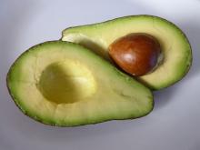 Aguacate 