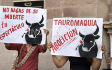 toros