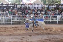 Feria Internacional del Caballo Aguascalientes 2026