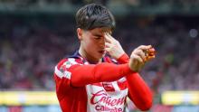 HORMIGA OLYMPIACOS