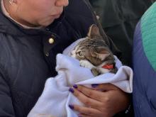 "Salud que deja huella": así será la megajornada de esterilización canina y felina de Aguascalientes