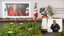 Aguascalientes se suma a la Jornada Nacional de Reforestación