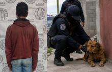 Vecinos reportaron que golpeaba a un perro en la vía pública; el animal quedó bajo resguardo de las autoridades municipales