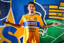 TIGRES RICARDO MONREAL 