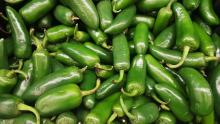 EE. UU. advierte sobre brote de salmonela vinculado a chiles jalapeños mexicanos