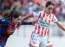 Centellas del Necaxa