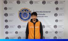ladrón domicilio