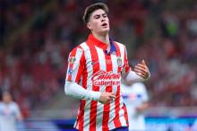 HORMIGA OLYMPIACOS