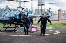 Traslada Halcón 1 un hígado de Tepic a Aguascalientes para paciente en espera de trasplante