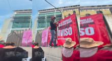 Lirios Buscadores Izcalli 