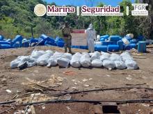 Narcotráfico en Sinaloa 