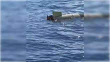 Torpedo 