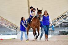 Él es Tamarindo y forma parte del equipo de equinoterapia del DIF de Aguascalientes 