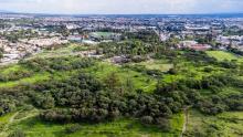 4to Informe de Tere Jiménez: Aguascalientes fortalece acciones de cuidado del medio ambiente