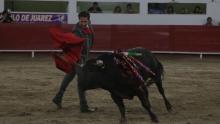 Toros Zacatecas