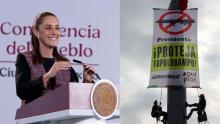 Greenpeace protesta en el Zocalo contra planta de Topolobampo; el proyecto "sigue", advierte Sheibaum