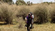 ONU pide a México proteger a las madres buscadores ante violencia brutal 