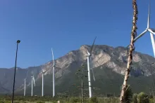 Desiste municipio de aguascalientes de amparo en caso Next Energy