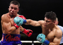 Pitbull Cruz 