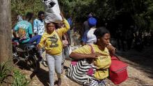 Pandillas en Haití han dejado 5 mil 700 personas muertas o heridas: ONU