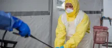 Brote de Ébola