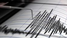 Sismo de 7 grados en Japón: epicentro a 470 km de profundidad al sur de Tokio