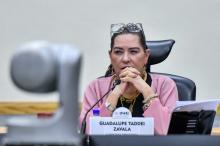 Renuncia Guadalupe Taddei al INE tras escándalos en contrataciones