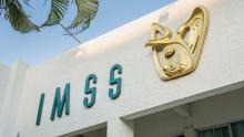 Inicia auditoría independiente sobre recién nacidos en hospital del IMSS, confirma Zoé Robledo