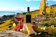 Ruta del vino