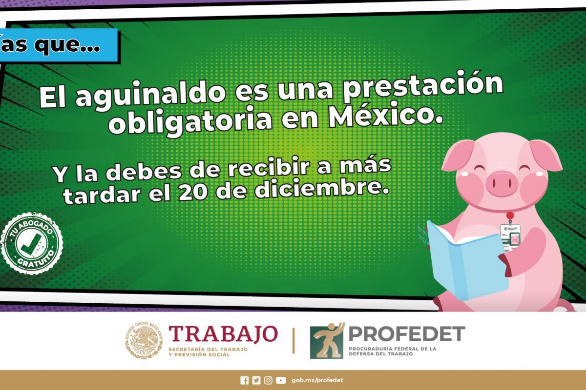 Este 20 de diciembre es la fecha límite para recibir el aguinaldo | BI ...