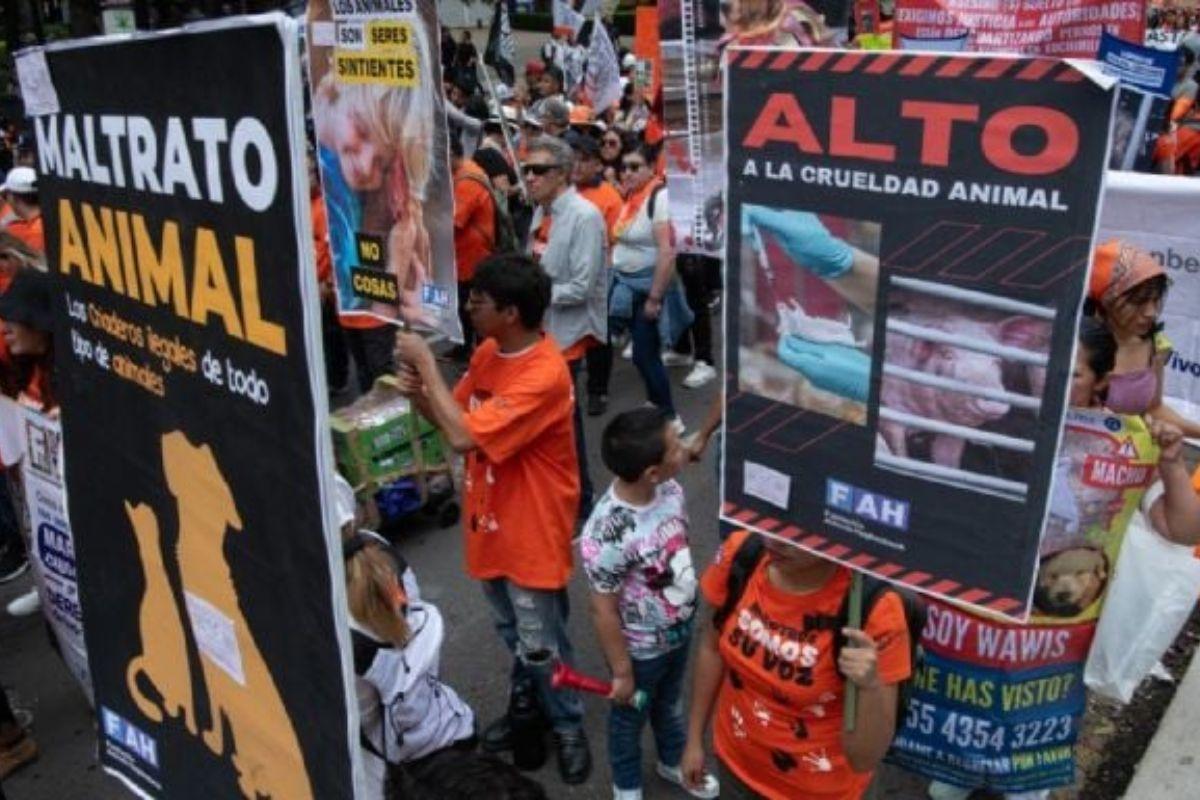 Marcha Nacional por el derecho de los animales en la CDMX | BI Noticias