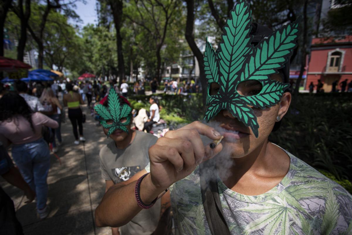 Día Mundial de la Marihuana: marchan en CDMX por el acceso libre al ...