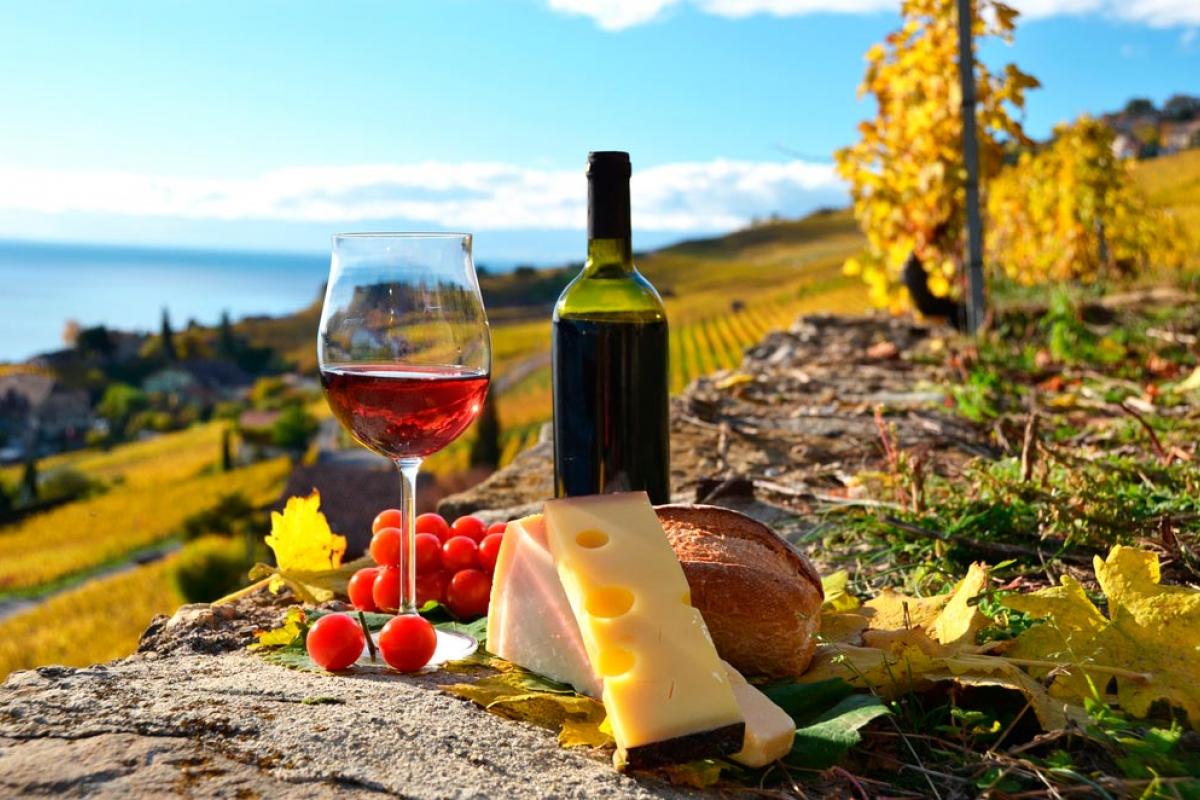 Buscan crear una ruta del vino conjunta con Querétaro, Guanajuato, Aguascalientes y Zacatecas